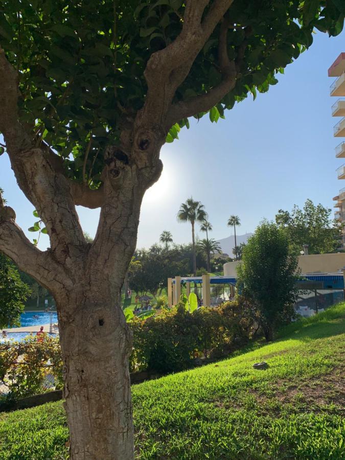 Appartement Minerva à Benalmádena Extérieur photo